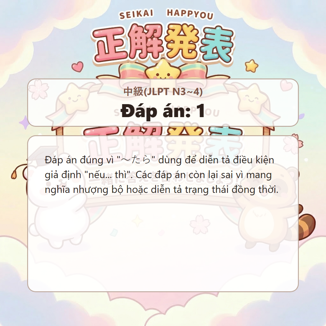 정답 발표 이미지